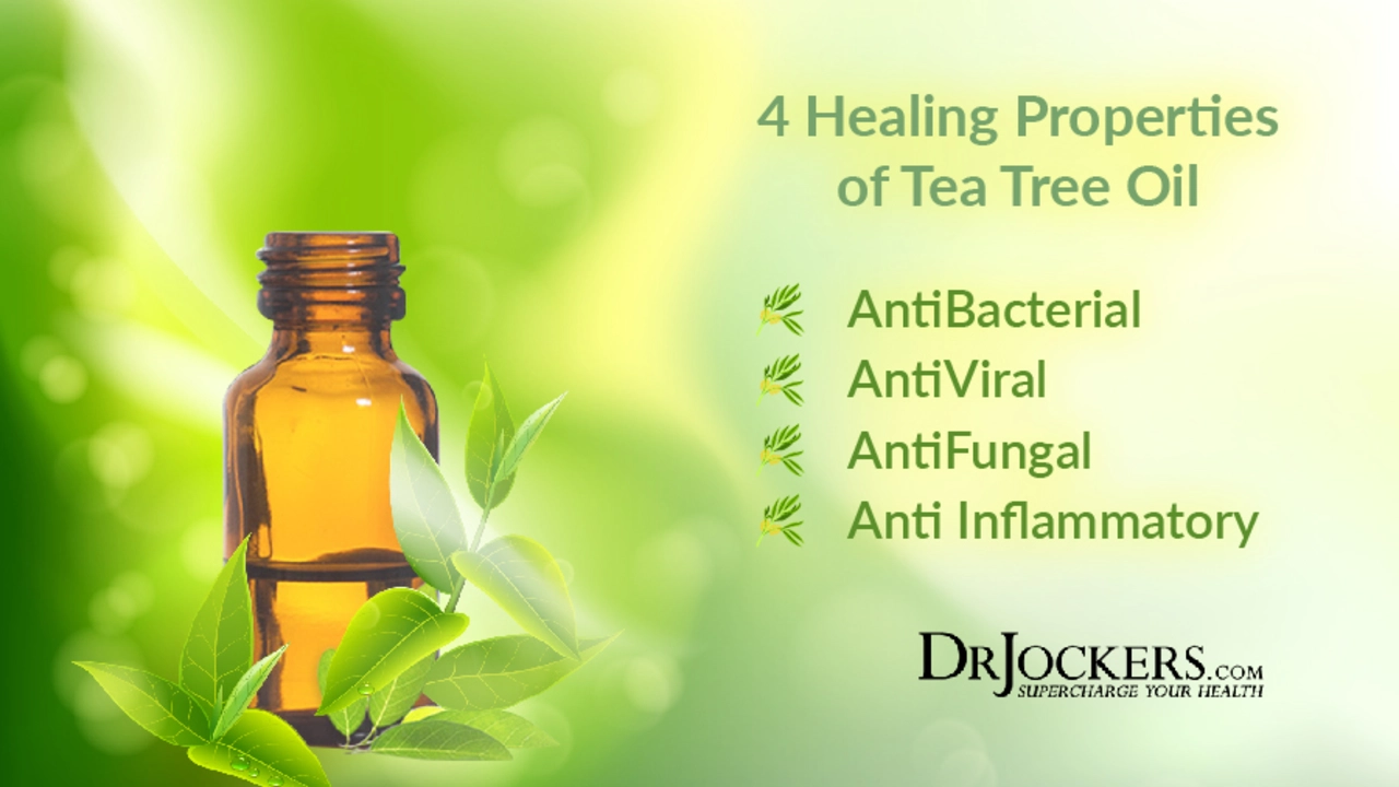Experience the Magic of Tea Tree Oil in Your Daily Diet