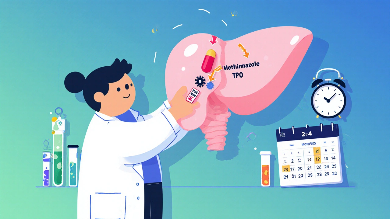 Scientist character demonstrates Methimazole blocking thyroid hormone production with arrows and lab tools.