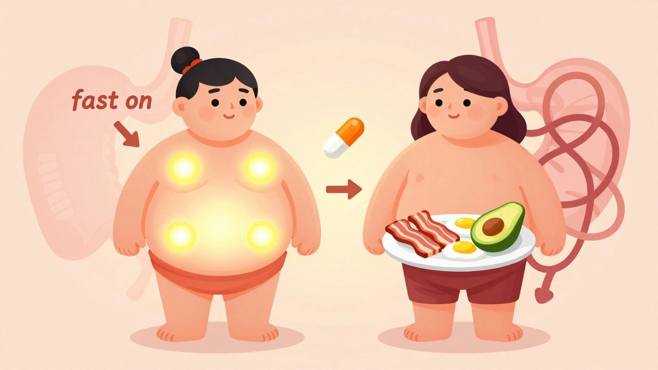 Fasted vs Fed State Testing: Why Both Conditions Matter for Health and Drugs