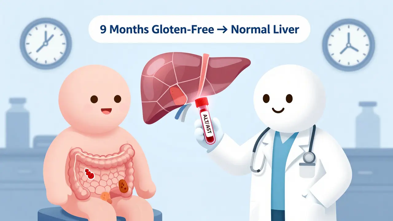 Medical scene of a patient with elevated liver enzymes healing after 9 months on a gluten-free diet.